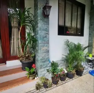 Képernyőkép 2024-06-25 104523