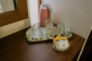 Raj Sindhu 11