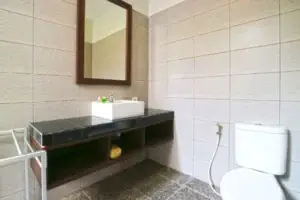 Raj Sindhu 9